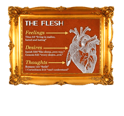 Feelings and flesh